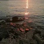 & Orange *