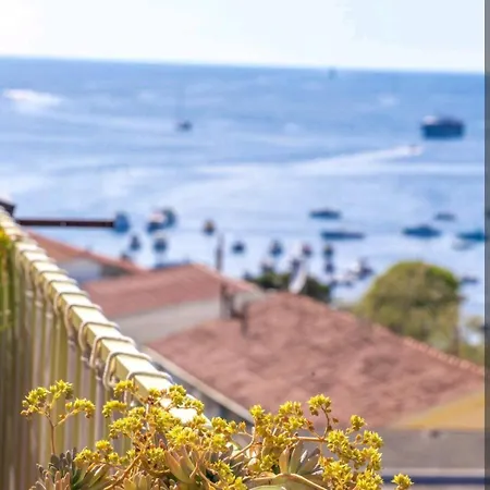 Lägenhet & Orange *