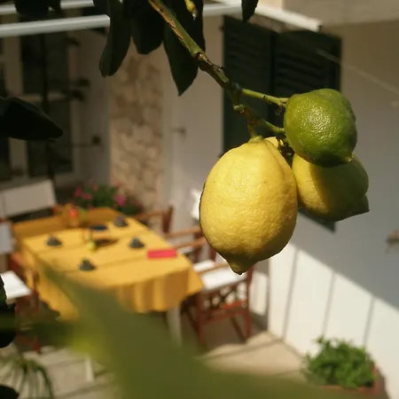 Apartment & Orange *